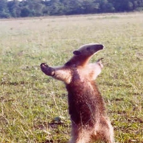 Grabe19's profile picture. 