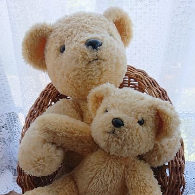 tuzuregami's profile picture. ツイート少ないです。
穏やかな日常を求めて試行錯誤。
思いのままに、ポツリポツリとつぶやきます。面白くない独り言ですヨ。
無言フォローお許し下さい。
