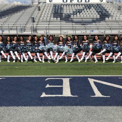 Del Valle HS Dance/Drill Team