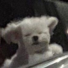 msw_onthego's profile picture. 