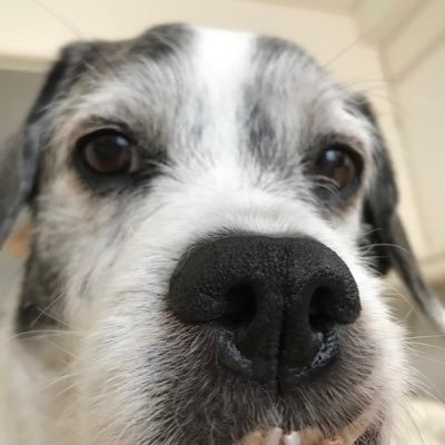 tsutsutsu____'s profile picture. 