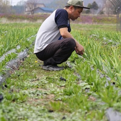 北海道のニンニク農家です。
名脇役のニンニクもいいのですが、なんとかニンニクを主役にしていきたいと日々、試行錯誤しています‼️
素材に拘った加工品の、告知などもしていきますのでよろしくお願いいたします🙇