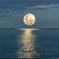 ابن همدان (@ibn_hamdan23) 's Twitter Profile