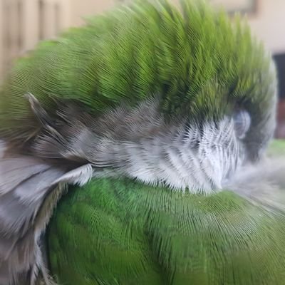 cardboardman10's profile picture. 