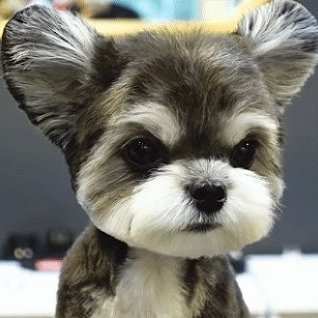 geekerworld's profile picture. 一个中国公民