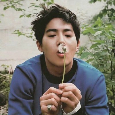 NirvanaForDeath's profile picture. 
