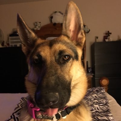 Justme___TJ's profile picture. Always sparkle!  #TRUMPALWAYS