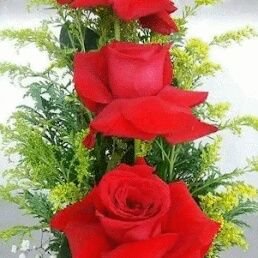 freeshipping55's profile picture. 