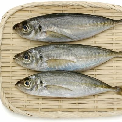 あじ 生きるって難しいけど楽しい Clumsy1972 Twitter あじ 生きるって難しいけど楽しい Clumsy1972 Twitter