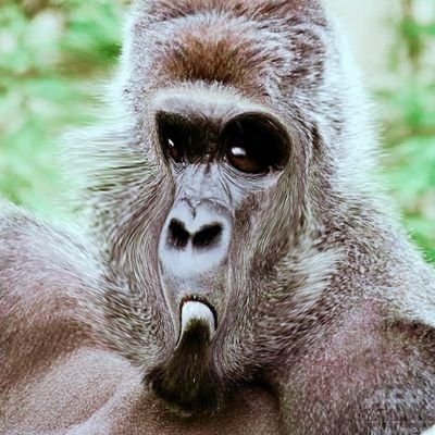 ﾕﾒｶ様さんのプロフィール画像