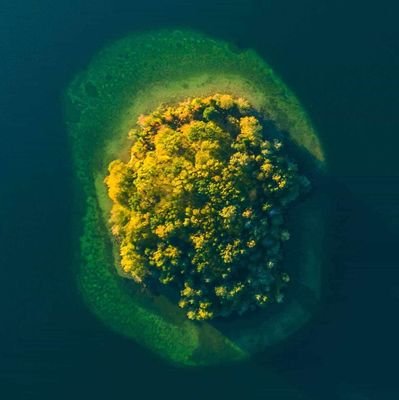 ZTsdnP2JuroC5Bd's profile picture. 爬虫類や両生類、熱帯魚が好きです！が好きです！