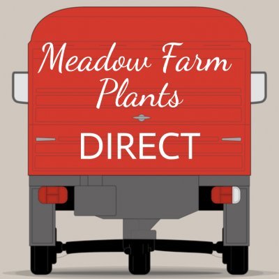 Meadow Farm Plants Direct