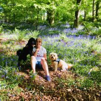 amanda whitefoot (@amandalou1665) 's Twitter Profile
