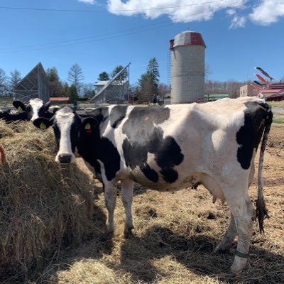 UkISK8's profile picture. 