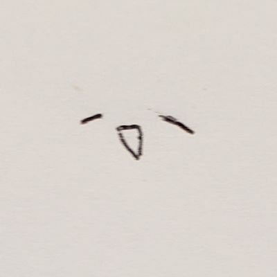 スノアさんのプロフィール画像
