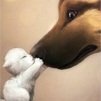 spunk boy (@enjoy12161) 's Twitter Profile
