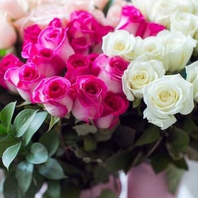 QbDRgdBdvbWl2qr's profile picture. كن شيئا جميلا في الحياة