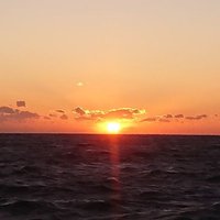 駄々 (@dadarake22) 's Twitter Profile