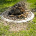 Don Mullan - @kwikkerbmn - Twitter