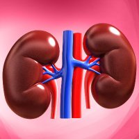 Ward 15 Renal BTHFT (@15_bthft) 's Twitter Profile Photo Ward 15 Renal BTHFT (@15_bthft) 's Twitter Profile Photo