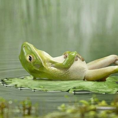 DefiOx73's profile picture. learning AND making