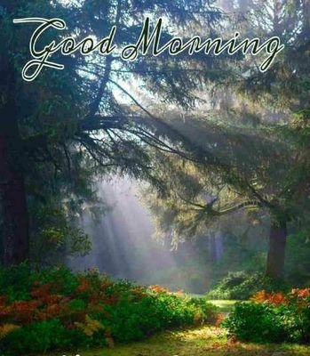 RmKinjarapu1's profile picture. 