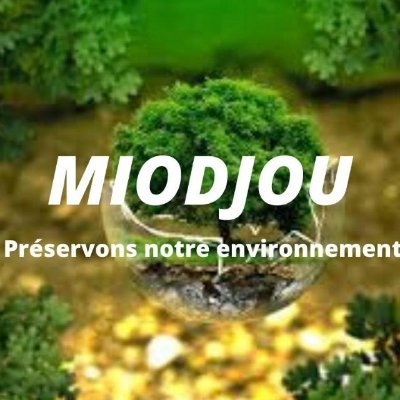 https://t.co/vkSwjvDmfL est un média digital spécialisé en environnement et orienté vers les pays de l'Afrique de l'ouest.