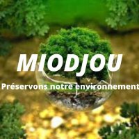 miodjou environnement(@MiodjouE) 's Twitter Profile Photo
