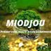 miodjou environnement (@miodjoue) Twitter profile photo miodjou environnement (@miodjoue) Twitter profile photo