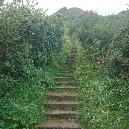 MunyaMunzwe's profile picture. Don't work hard. Work smarter. Hardwork is for losers.

Anti-unproductive spending CA(SA),  Anti-Keynes, Pro-Business & freemarket, Anti-Taxes and Big Govt.