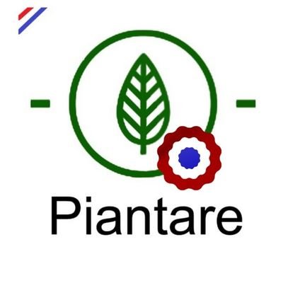 Piantare Paraguay es el primer emprendimiento empresarial en pos de Desarrollo Sustentable: Reforestación en el Paraguay - Paisajismo - EVIA - Derecho Ambiental