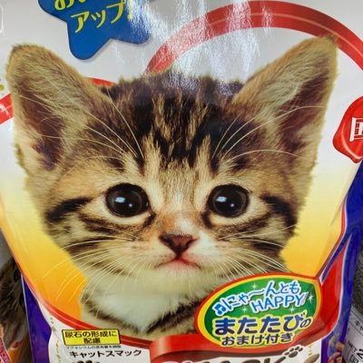 こぐまと申します。使用済みの下着やストッキングを譲ってくださる方を探しております。譲ってもいいよって方は気軽にDMください。その際には年齢、身長、体重もお忘れなく。お互い円満なお取引が出来ればいいなあと思っております。丁寧に紳士的なお取引を心がけております。良い売り子さんにはとびつきます💕💕🥺#下着販売