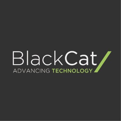 Advancing Technology
BlackCat is a proven technology development and delivery partner on a mission to advance our customers’ performance through technology