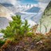 Forst Aletsch (@forstaletsch) Twitter profile photo Forst Aletsch (@forstaletsch) Twitter profile photo