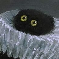 팔멜의 심져세상さんのプロフィール画像