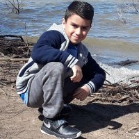 Alex U. (@alexu13609266) 's Twitter Profile