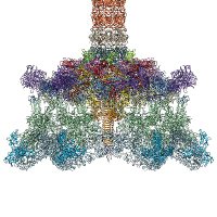 Nicholas M. I. Taylor Lab (@nmitaylorlab) 's Twitter Profile Photo Nicholas M. I. Taylor Lab (@nmitaylorlab) 's Twitter Profile Photo