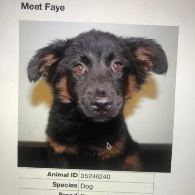 avawoofwoof's profile picture. one good girl