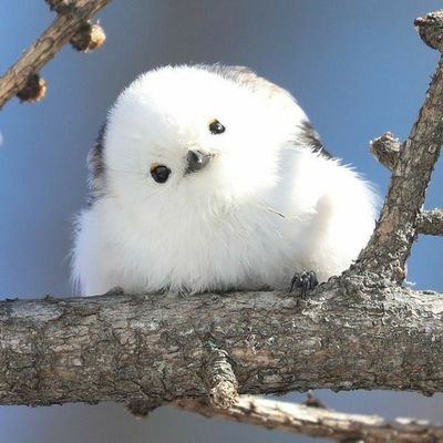 반은 잇팁 반은 잇프피인 사람입니다 엠비티아이 계정은 다 받아요 맘찍실수 조지게 많아요....머쓱