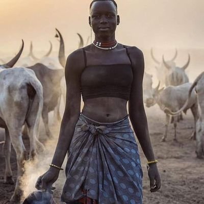 Who works the land, will be rewarded by the land/Building Wealth through farming/Food security/Investing in the Land/