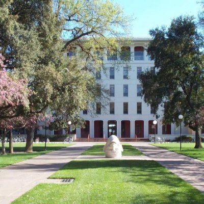 greattree6's profile picture. 