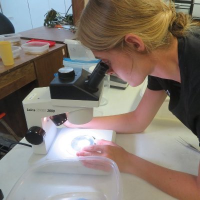 VenderKat's profile picture. Postdoctoral Fellow, Harvard School of Public Health | PhD, Notre Dame | Molecular Parasitologist studying Plasmodium falciparum