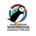 Wikimedia Community Ireland (@WikimediaIE) Twitter profile photo