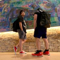 こやけんマネージャー (@koya_mane) 's Twitter Profile