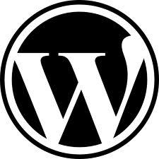 WordPress user,learning WordPress to develop great websites