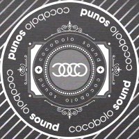 cocobolo sound (@cocobolosound) 's Twitter Profile Photo cocobolo sound (@cocobolosound) 's Twitter Profile Photo