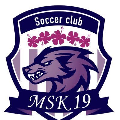 市川市で活動しているサッカースクール MSK19サッカースクールです！ 武器、強みを持った選手の育成を目指し活動しています。