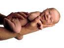 Offfering week by week pregnancy information, childbirth advice and looking after baby tips.
