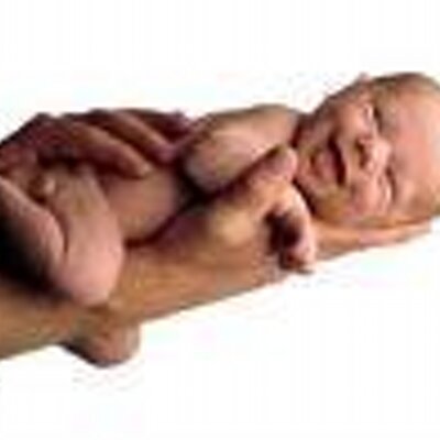 Baby_Carex's profile image