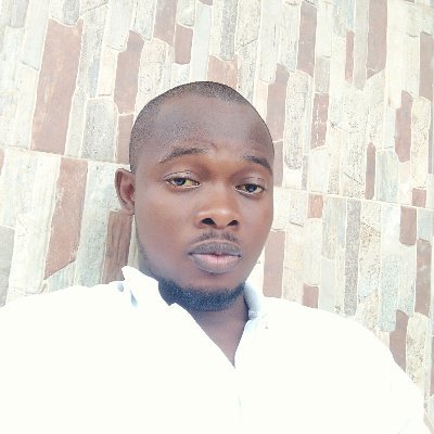 LouisIcon's profile picture. I am a Microbiologist and a trained computer engineer. CEO https://t.co/OTaTLy8aJ4 And https://t.co/HoRyZMrPtb